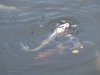 DSCF5683.JPG