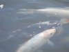 DSCF5678.JPG