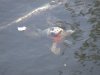 DSCF5690.JPG