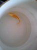 DSC02288.JPG