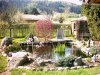 Teich April 2011 010.JPG