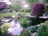 Teich Mai 2011 011.JPG