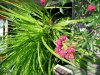 insel_22052011_b.jpg