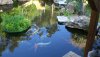 teich 15.05.11 001_1280x720.jpg