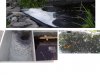 Teich.jpg