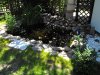DSCF1001.JPG