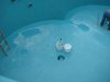 IMG_2300_(640_x_480).jpg