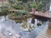 2011-06-11 13.29.44.jpg