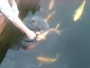 2011-06-11 13.43.35.jpg