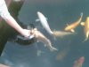2011-06-11 13.44.29.jpg