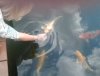 2011-06-11 13.45.55.jpg