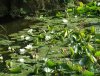 DSCF3974.JPG
