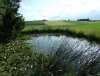 DSCF3980.JPG