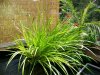 insel_22052011_a.jpg