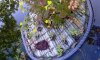 IMAG0318.jpg