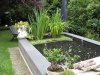 KOI BECKEN Juli 2011 001.jpg