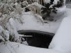 dezember 2010.jpg