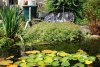 DSC_3826.jpg