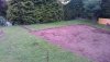IMAG0047.jpg