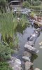 IMAG0545.1.jpg