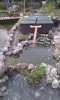 IMAG0544.1.jpg