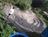 DSC00072.....jpg