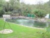 DSC00187.....jpg