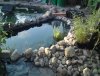 DSC00211....jpg