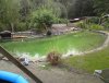DSC00153....jpg