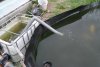 DSC01119.JPG