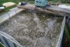 DSC01121.JPG