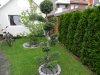 DSCN0846.JPG