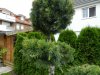 DSCN0847.JPG