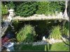 Teich10.jpg