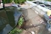DSC01193.JPG