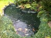Foto 1.JPG