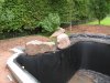 IMG_2565_(640_x_480).jpg