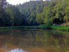 IMG_1150_(640_x_480).jpg