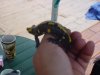 DSC02873.JPG