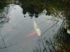 DSC04067.JPG
