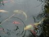 DSC04075.JPG
