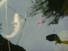 DSC04078.JPG