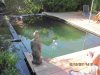 Teich-Terrasse.jpg