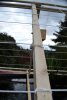 thumb004_956.jpg
