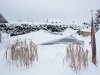 IMG_0185_F.jpg
