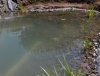 2011-07-08_Teich_nach_Befüllung.jpg