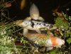 DSC00840 - Kopie.JPG