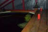 koihaus1.jpg