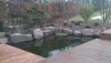 IMAG0272.jpg