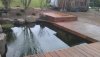 IMAG0274.jpg